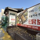 미원광고 | 친구들과 함께 다녀온 포항 스페이스워크 맛집 포항수탉본점 닭보쌈 반반 메뉴 후기