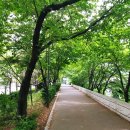 관악동작견인차량보관소 이미지