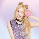 젤라또 팩토리 이미지