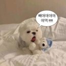 정관장홍삼오산 | [결혼준비 ep.1] 양가 첫인사 ㅣ 첫인사 선물, 동탄 풀리한정식 (메뉴, 주차 TIP, 청사초롱 코스, 예약...