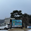 진부농협주유소 | 국내 얼음낚시 추천:) 평창송어축제