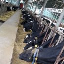 비전목장 이미지