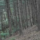 창촌민박 이미지