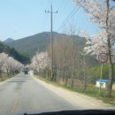 삼가-4 이미지