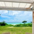 바닷가 | 가족여행 추천 미야코지마 맛집 블루터틀, 바닷가 레스토랑 후기