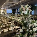 베뉴비안 이미지