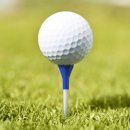 (주)나이스트리 이미지