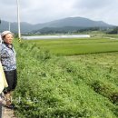 강진9호 이미지