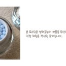 (주)닥터글로덤