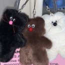 테일프렌즈 이미지