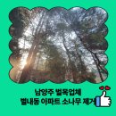 위성아파트 | 남양주 벌목업체 별내동 아파트 소나무 제거