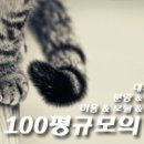 도그야 놀자 이미지