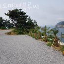 욕지도펜션블루씨 이미지