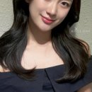 신촌애견미용실 이미지