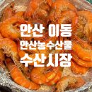 한양대앞역(농수산물 도매시장) | (안산 한대앞) 한대앞역 근처 농수산물도매시장 맛집 대하구이 꽃게찜 회까지 내돈내산 맛집 후기