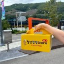 기차놓친가락국수 이미지