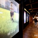 영화-미나리 이미지