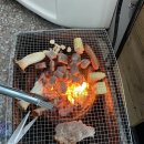 모니카애견 | 거제 애견펜션 산타모니카 애견펜션 내돈내산 후기 / 수영장이 약간 아쉬웠지만 좋았음!
