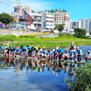 (2025년7월20일) 제53회 토종물고기 방류행사, 대전 보문교서 개최/ 시사저널 청풍 이미지