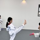 길잡이태권도장 이미지