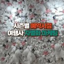 리드여행사 이미지