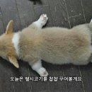 안마원의품격 이미지