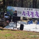 꽃 음악회 | 합천 천불천탑 수국꽃축제 음악회