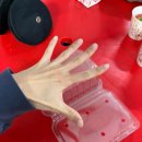 서울YMCA방화어린이집 | 김포 영일딸기농장 / 서울 딸기체험 / 아이랑 가볼만한 곳