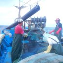 더불어참 이미지