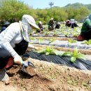 계절축산 이미지