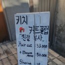 키치커트클럽