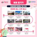 솔라파크 대회의장 | 2025 진해 군항제 벚꽃 명소, 특별 공연 부대 행사, 주차장, 교통편, 가는길