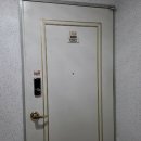 구.복사초 이미지