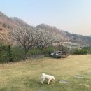 청평옆집언니 이미지