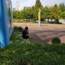 봄이 아빠의 댕댕이 간식 이미지