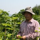 서니농장 이미지