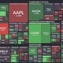 MS메디케어 이미지