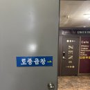 바이올 | 철산 상업지구 한우소곱창 맛있다고 방문해본 토종곱창 내돈내산 후기