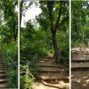 정발산공원 이미지