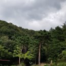 오케이캠핑장 이미지
