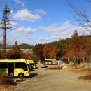 입화산참살이숲야영장 이미지