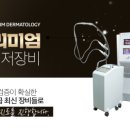 설레임기프트