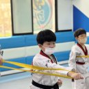 번개태권도 이미지