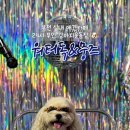 당구카페24 이미지