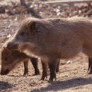 개선농장 이미지