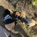 라온메디칼 이미지