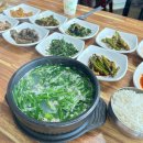 강반찬 | [영덕] 11가지 반찬과 함께 나오는 재첩국 맛집 송천강재첩국
