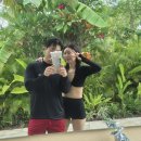 💍W8. 신혼여행 발리, 싱가포르 경유 &#39;팜투어&#39; :: 아리아두타 리조트 3박 일정 후기