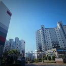 HausD블루오션 이미지