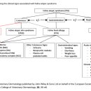 청담고양이 이미지
